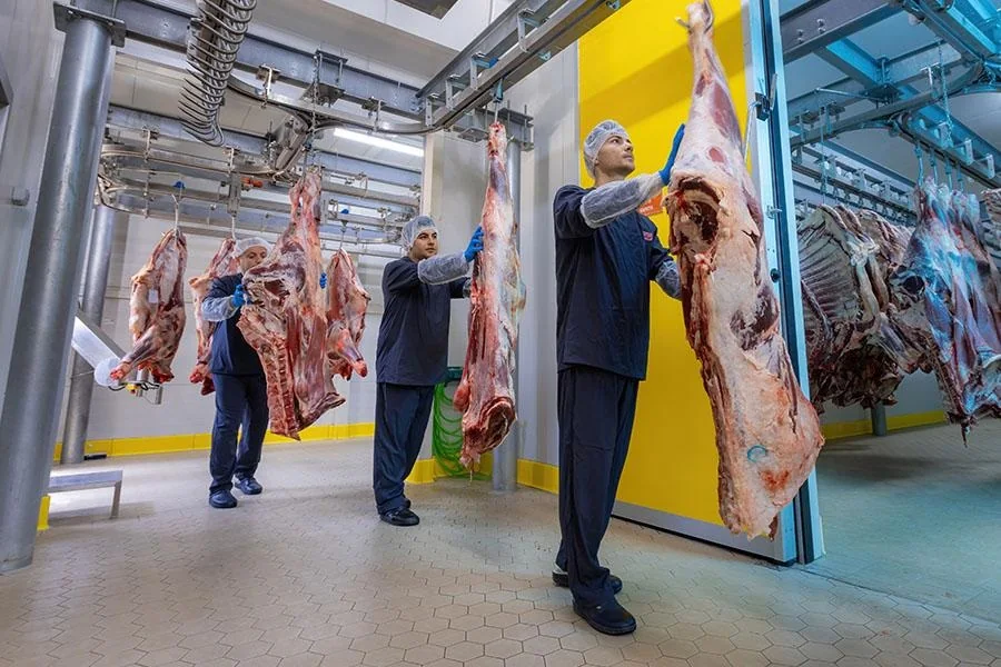 Professional halal beef processing facility