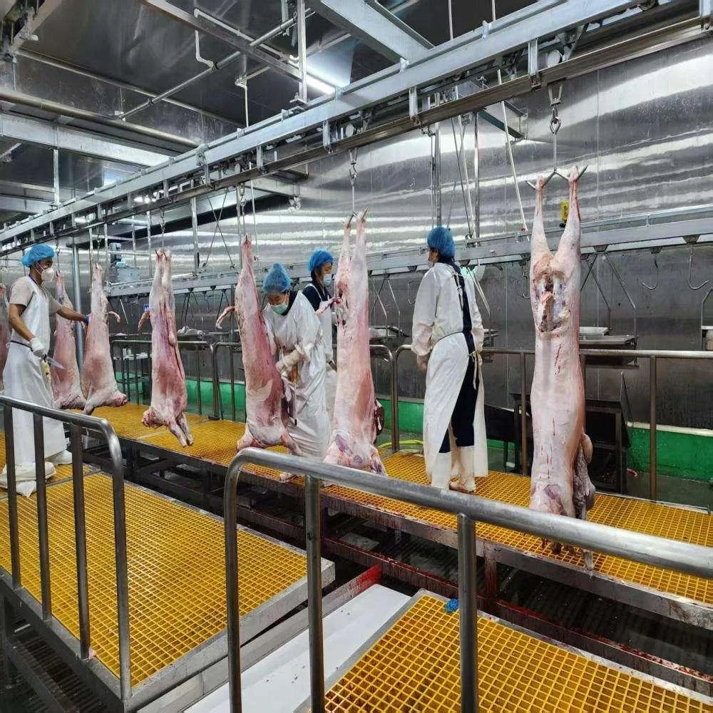 Professional lamb processing line