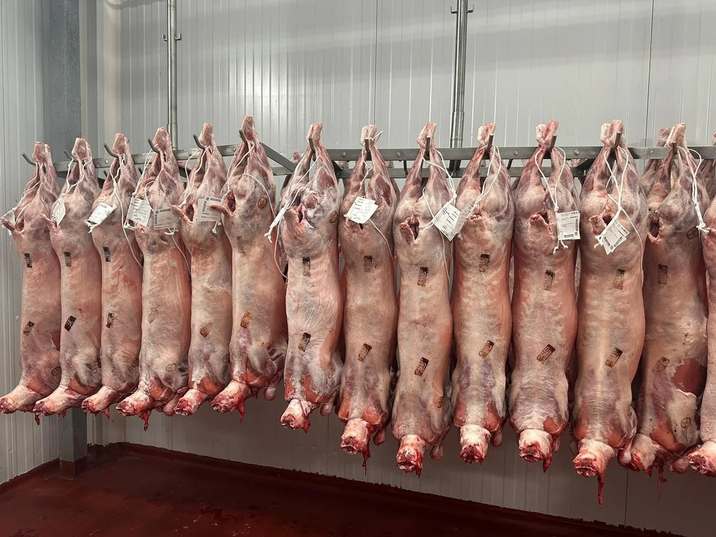 Commercial-volume mutton carcasses in cold storage